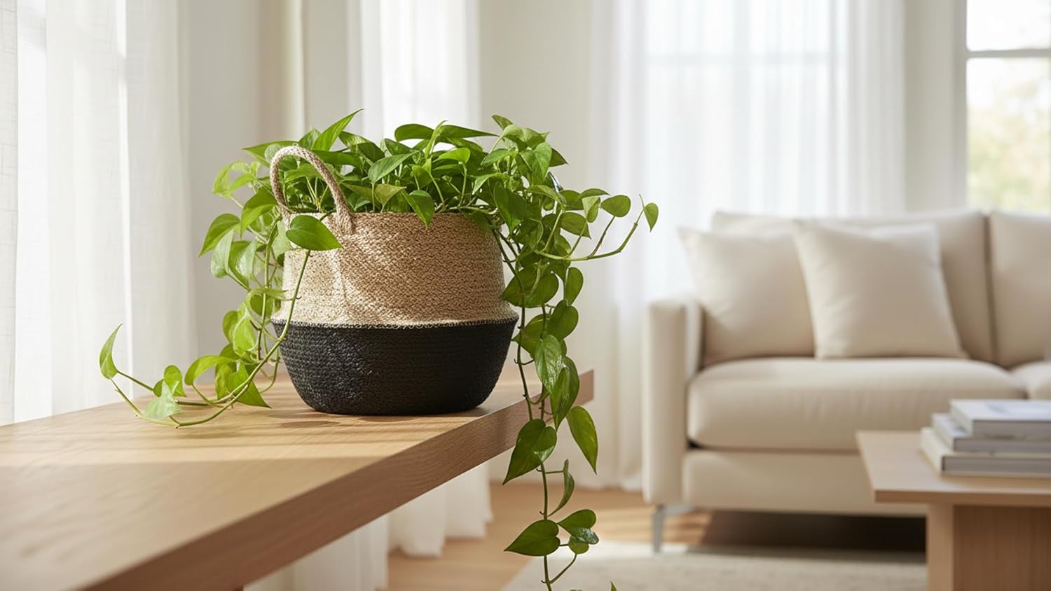 Garden Accessories