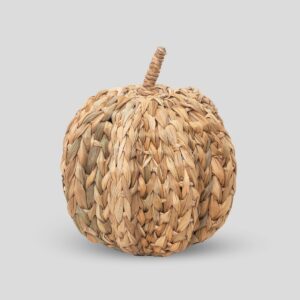 Elegant Coastal & Autumn Pumpkin Decoration