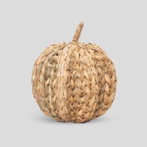 Elegant Coastal & Autumn Pumpkin Decoration